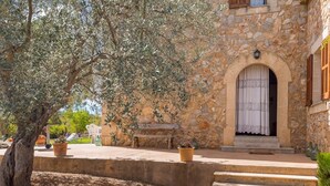 A stone building with a large olive tree in front, steps leading to a door with a white curtain, and outdoor seating. - Banyols - Beautiful villa with pool in Alaró (Alaro)