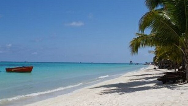 Een strand met wit zand, een rode boot en palmbomen.