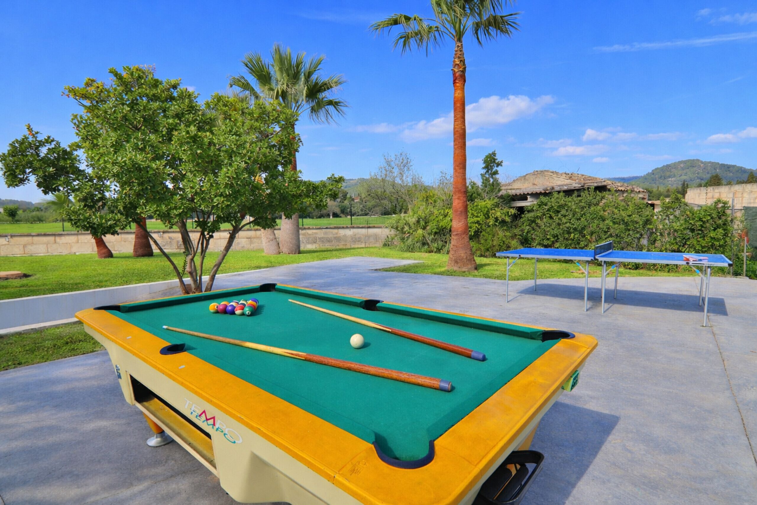 A pool table with balls, a blue table tennis table, and palm trees in a sunny outdoor setting.
