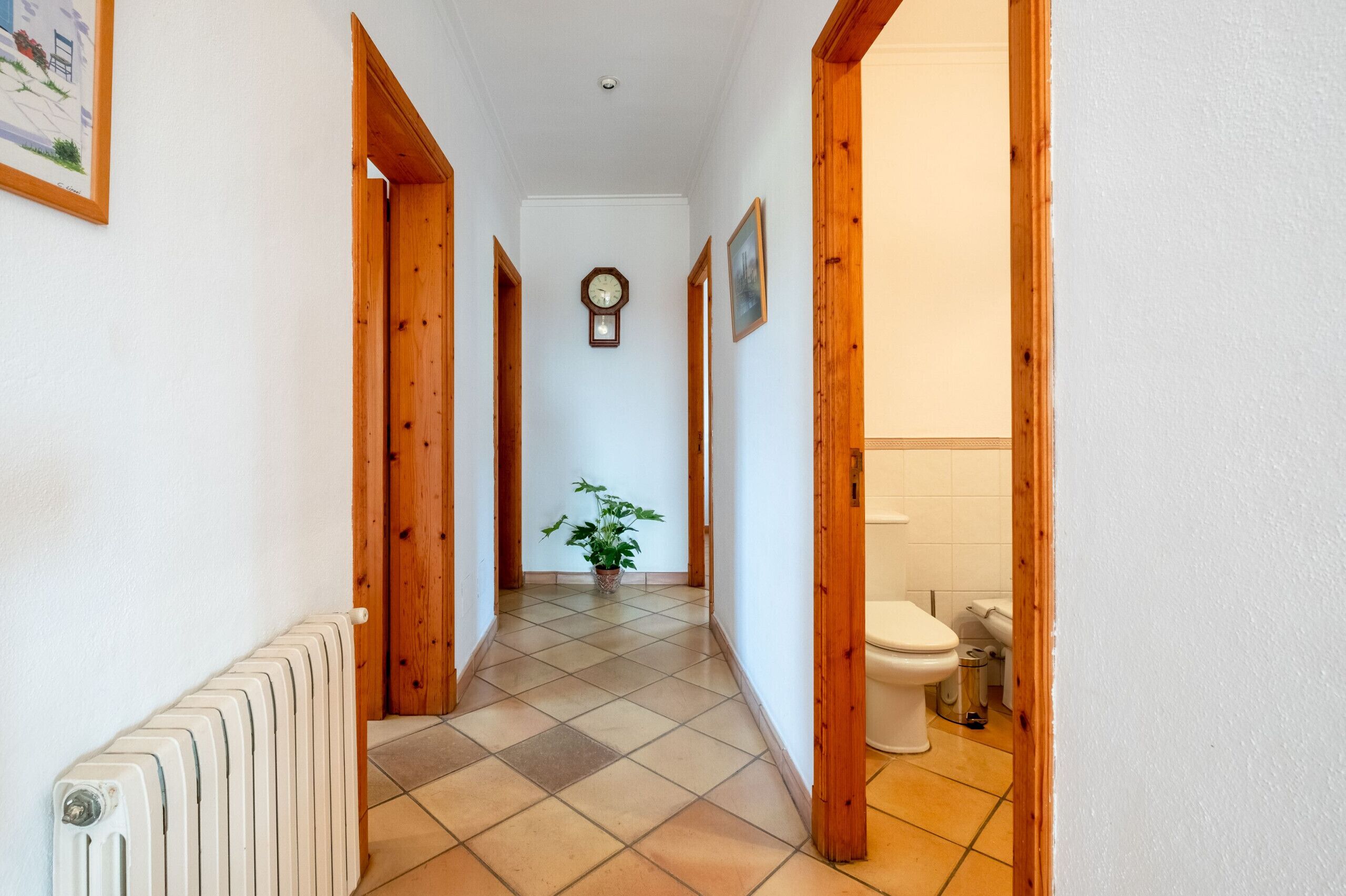 A hallway with wooden doors, a radiator, a clock, and a potted plant.