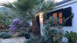Un patio de piedra con una palmera, flores púrpuras y varias plantas en macetas.