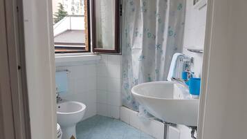 Shower, hair dryer, bidet, towels