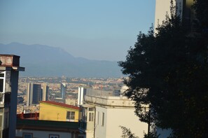 Vista desde la propiedad