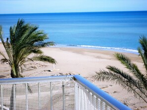 Vista de una playa con palmeras y cielo despejado.