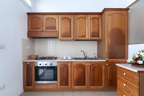 Fridge, oven, stovetop, cookware/dishes/utensils