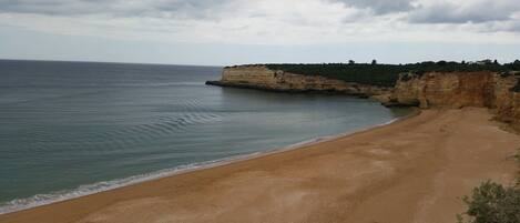 Plage à proximité, chaises longues, serviettes de plage