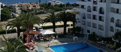 A resort with a swimming pool, palm trees, and a view of the sea.