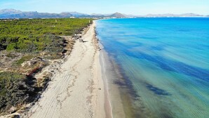 Eine Küstenlandschaft mit Sandstrand, klarem blauen Wasser und grüner Vegetation.