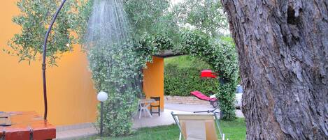 Terraza o patio
