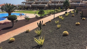 A hotel with a pool, a pathway lined with cacti, and a large building with multiple balconies.