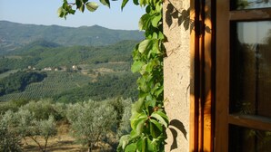 A window with a view of a vineyard and distant hills.