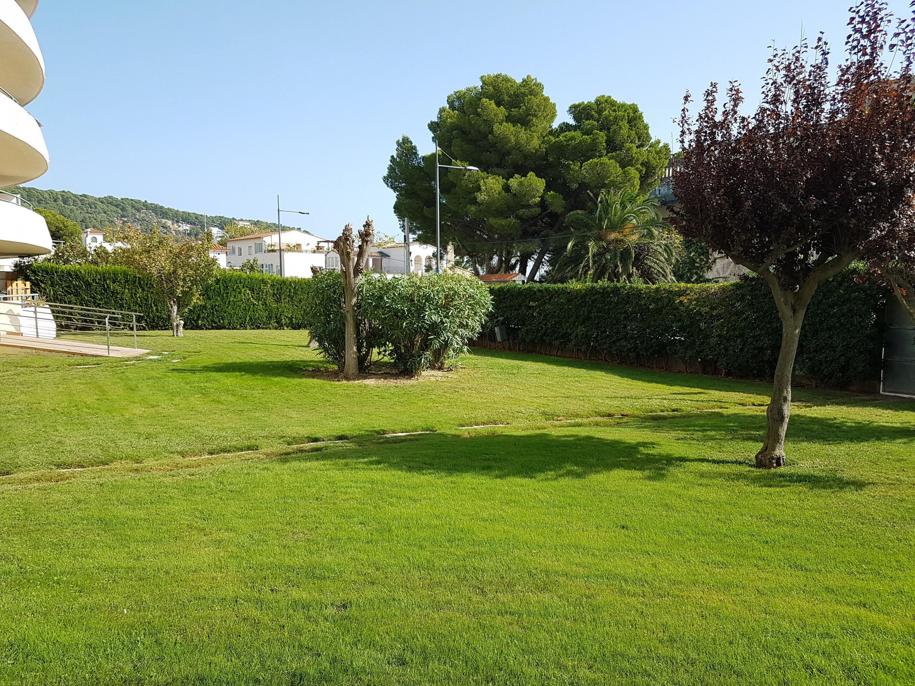 A well-maintained grassy area with a small tree, a hedge, and a building with a white facade in the background.
