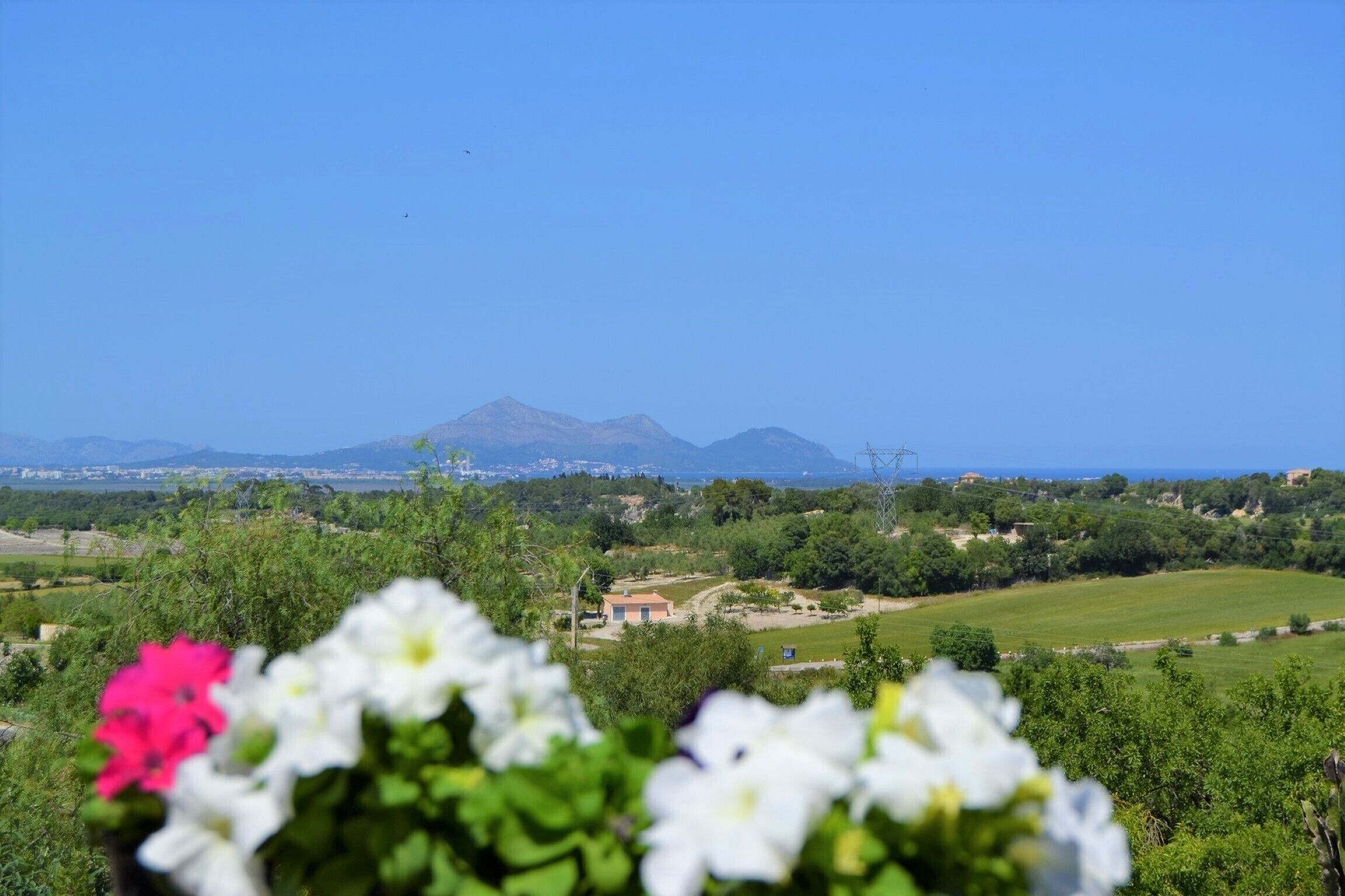 Ab 100€ pro Tag  können Sie Ihre Villa auf Mallorca mieten