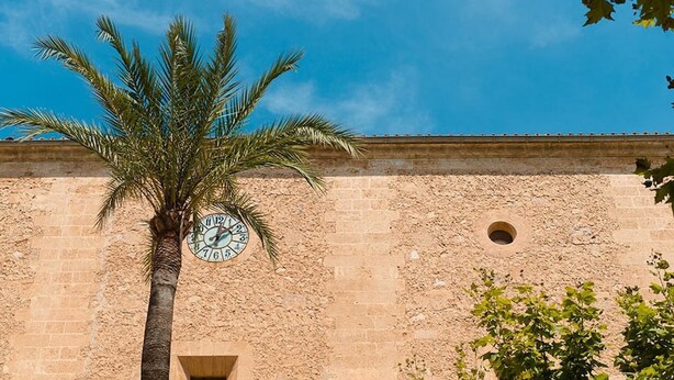 Una palmera frente a un edificio con un reloj en la pared.