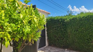 Una entrada empedrada con un árbol y un seto.