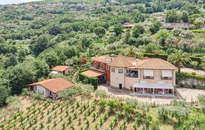 Exterior - Villa Rosi - Monolcale with pool (laureana cilento)