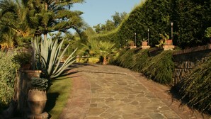 A stone pathway leading through a garden with various plants and a tall tree. - Villa Rosi - Monolcale with pool (laureana cilento)