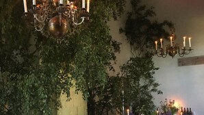 A dining area with tables set for a meal, surrounded by greenery and a chandelier.