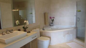 浴缸、吹风机、毛巾、肥皂