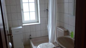 Shower, hair dryer, soap, toilet paper