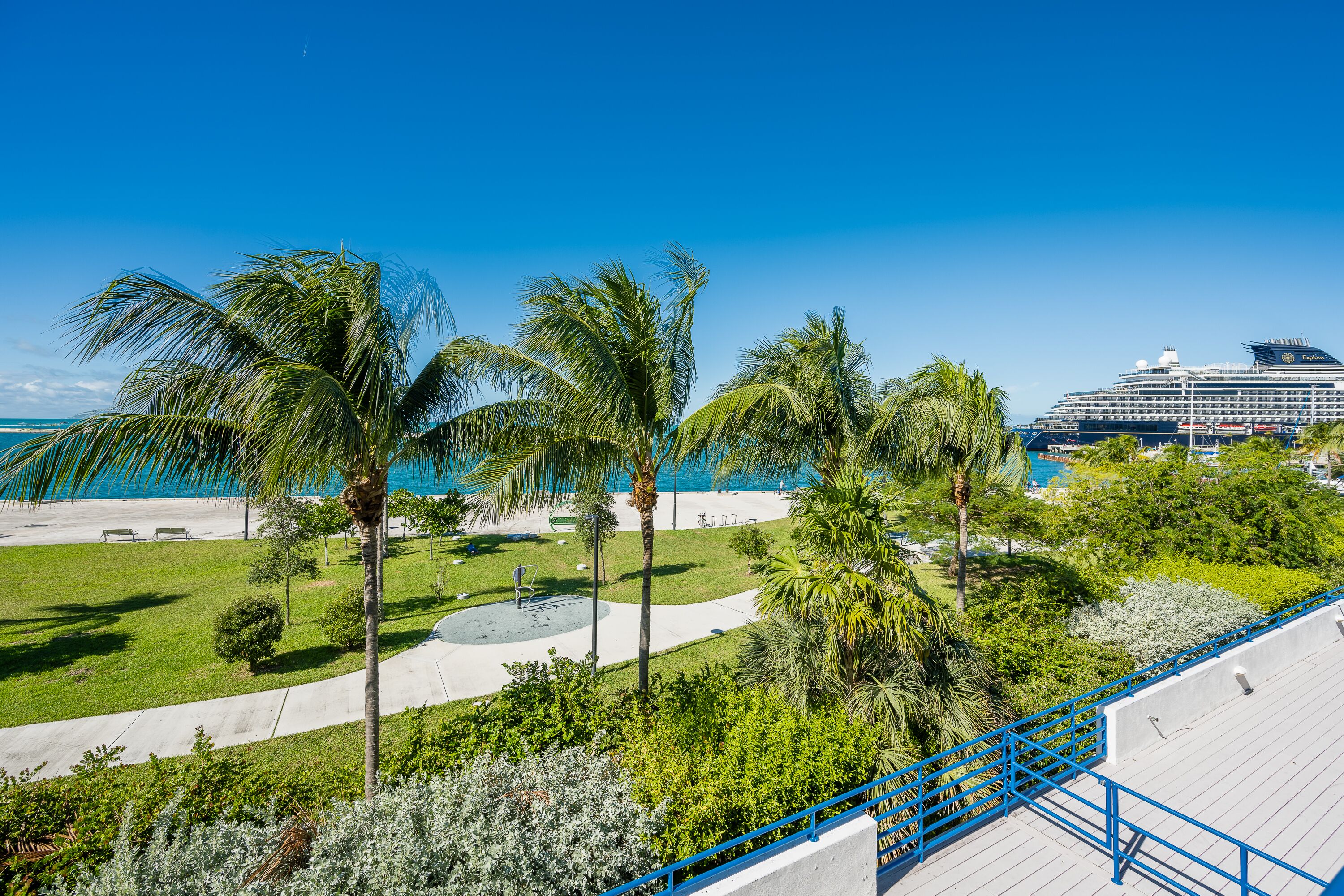 A cruise ship docked at a port with a landscaped promenade featuring palm trees and a pathway.