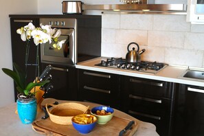 Fridge, oven, stovetop, dishwasher