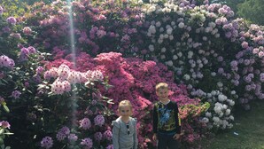 Deux enfants se tiennent devant un buisson touffu, couvert de fleurs roses et blanches.