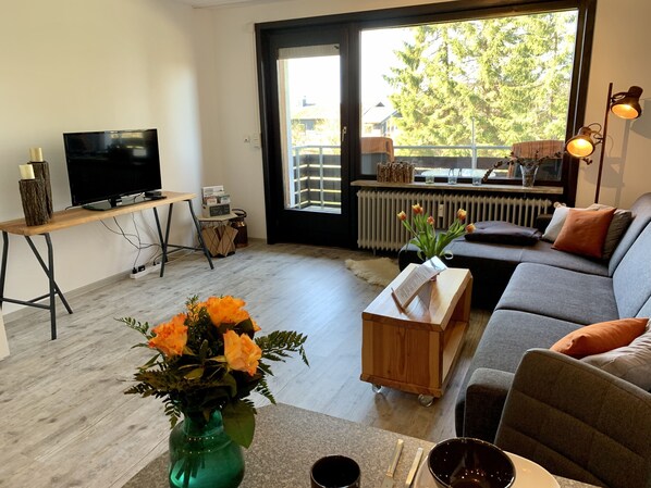 TV, stereo - Our FeWo Luchsbutze - right on the forest, with balcony, garage u. WIFI (St. Andreasberg)