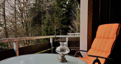 Our FeWo Luchsbutze - right on the forest, with balcony, garage u. WIFI