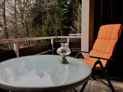 Our FeWo Luchsbutze - right on the forest, with balcony, garage u. WIFI