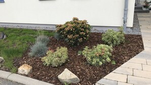 A landscaped garden with various shrubs and a small rock garden in front of a white building with blue-framed windows. - House Seewind Hohenfelden (Hohenfelden)