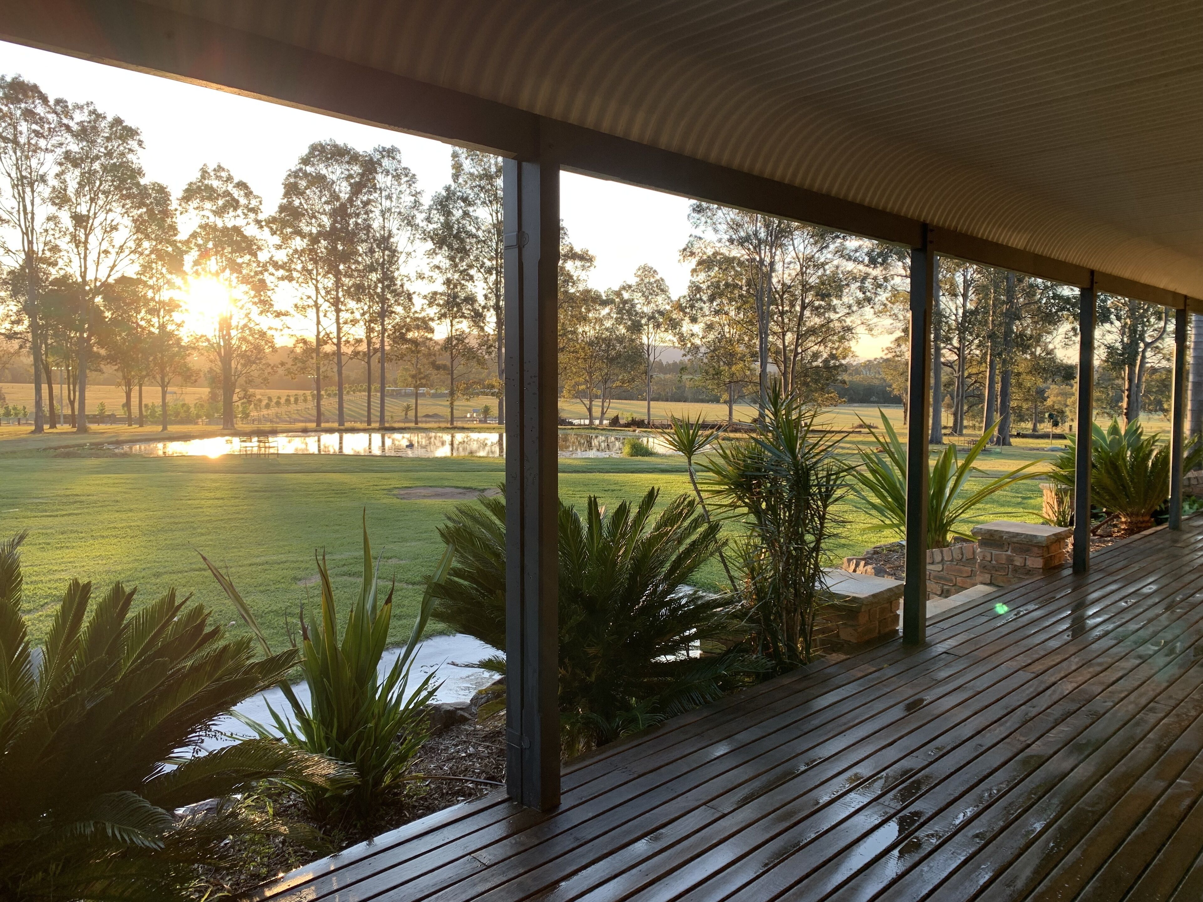 テラス / パティオ