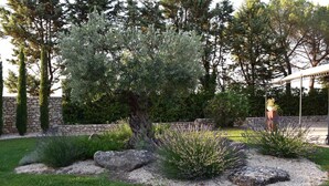 A landscaped garden with a large tree, rock formations, and a stone wall.