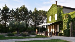 A house with a covered patio, surrounded by a well-maintained garden and tall trees.