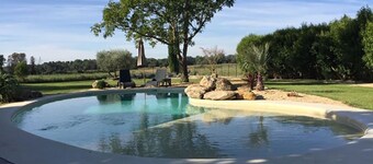 Near Uzes Mas of character entirely restored on a plot of 3000m2