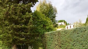 A well-maintained grassy area with a large tree and a neatly trimmed hedge. - Beautiful, quiet villa in a beautiful village in the south of France (La Colle-sur-Loup)