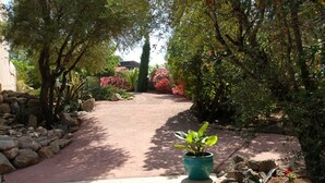 Un camí travessa un jardí ple de plantes diverses, amb una planta en test amb visibilitat destacada al primer pla.