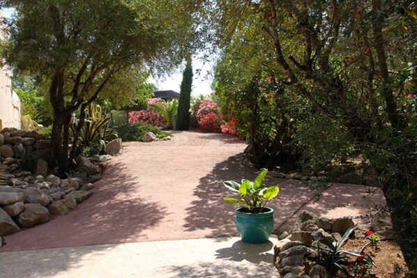 A pathway leading through a garden with various plants and a potted plant in the foreground. - Villa in SAINTE-LUCIE de PORTO VECCHIO (Zonza)
