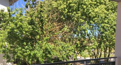 T3 Wohnung, 5 Personen, neu, Terrasse, hell, 1. Stock, Innenstadt