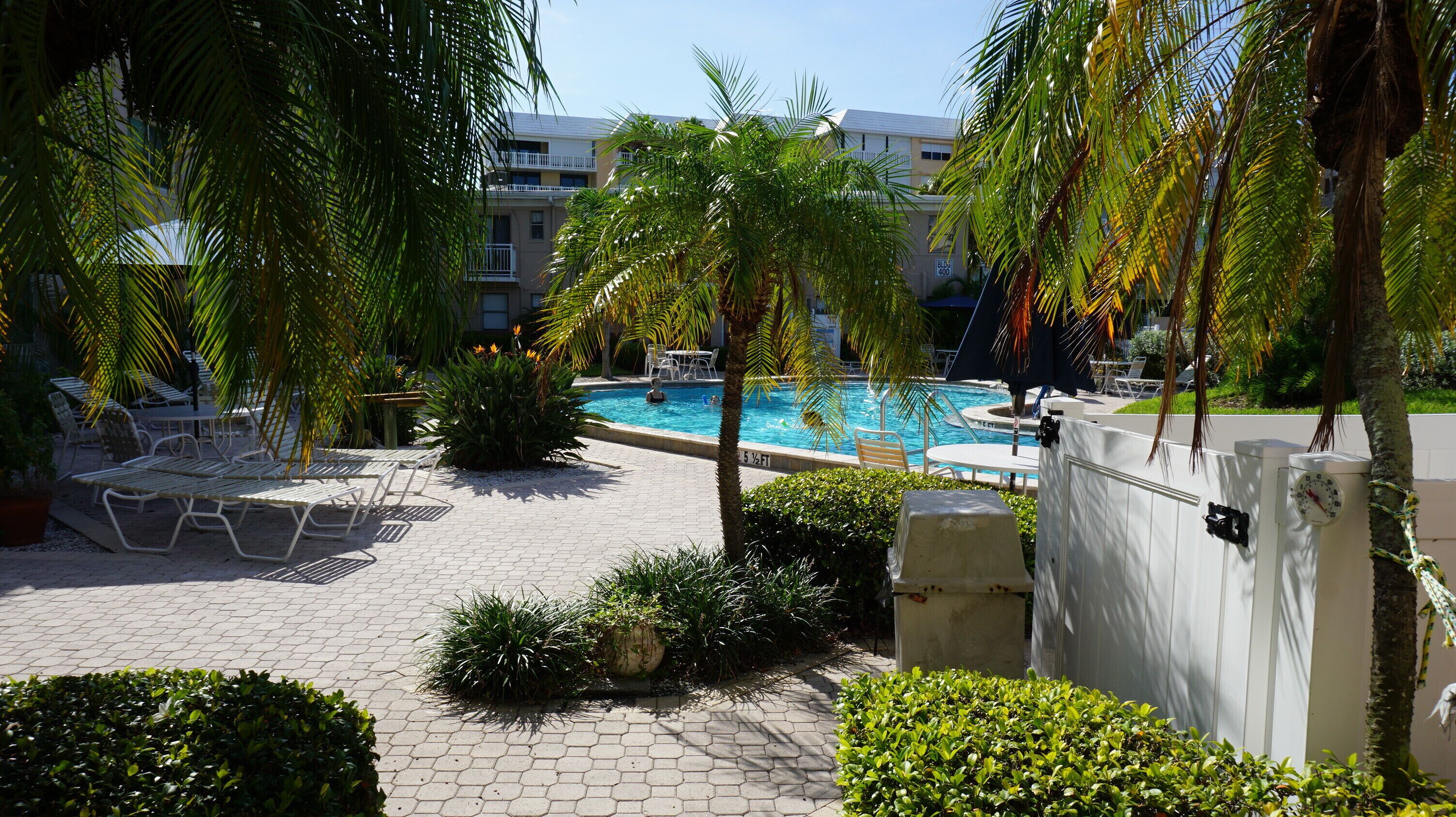 A pool area with lounge chairs and palm trees.