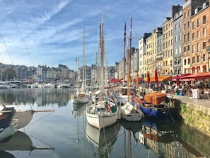A harbor with multiple boats docked, surrounded by buildings with outdoor seating areas.