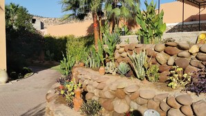 Un giardino curato con diverse piante e un muro in pietra.