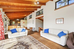 TV, lareira, DVD player, livros