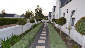 A pathway flanked by neatly trimmed hedges and small trees, leading to a white building with a modern design. - Cape Town Luxury  Self Catering Home in a Working Wine Farm - Family Friendly (Cape Town)