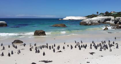 Cape Town Luxury Self Catering Home in a Working Wine Farm - Family Friendly