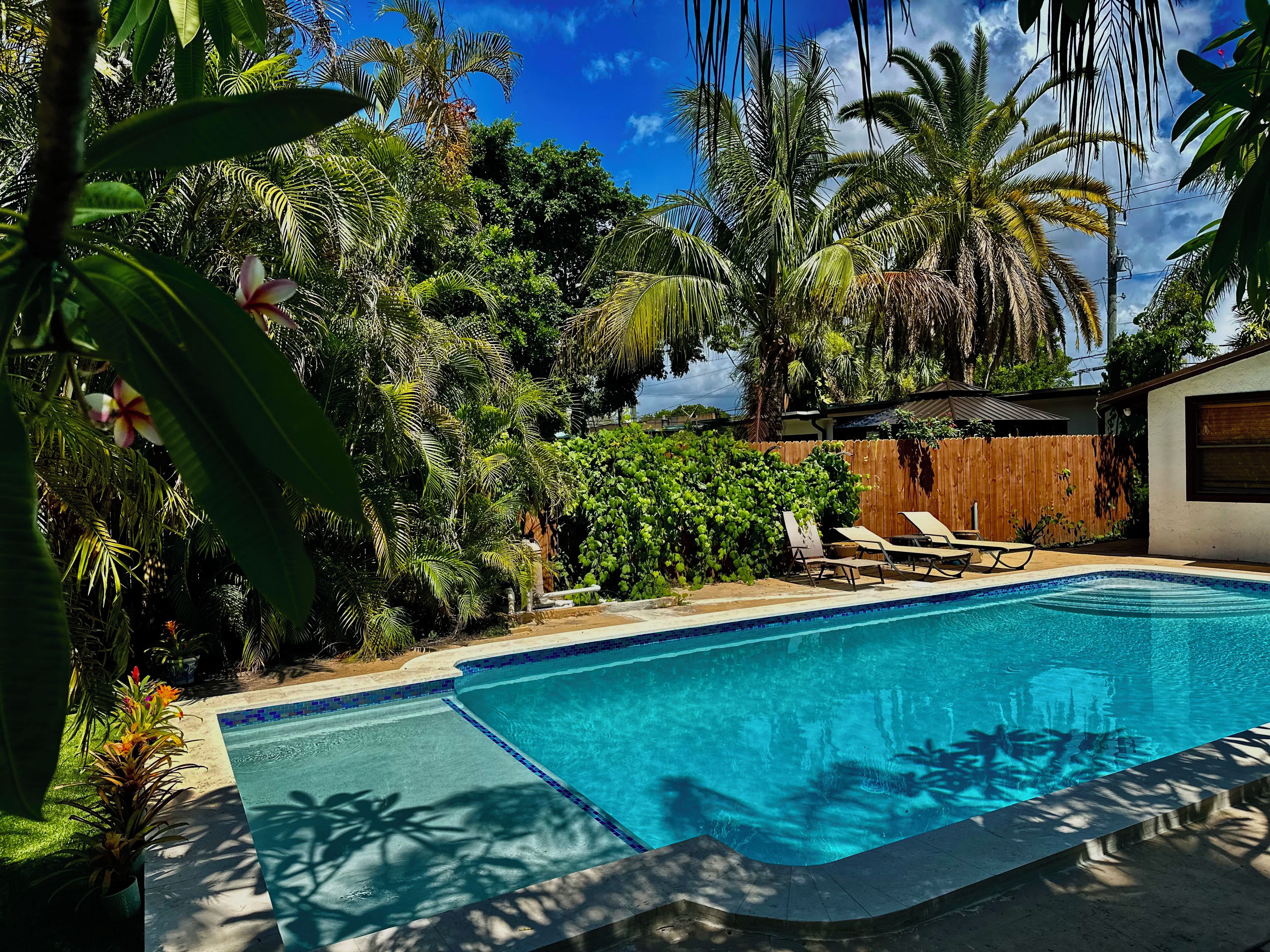A swimming pool surrounded by lush tropical vegetation, including palm trees and various plants.