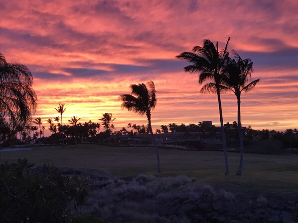 Un coucher de soleil sur un terrain de golf, avec des palmiers et un ciel dégagé.