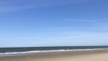 Enjoy serene ocean views and peaceful beach walks.