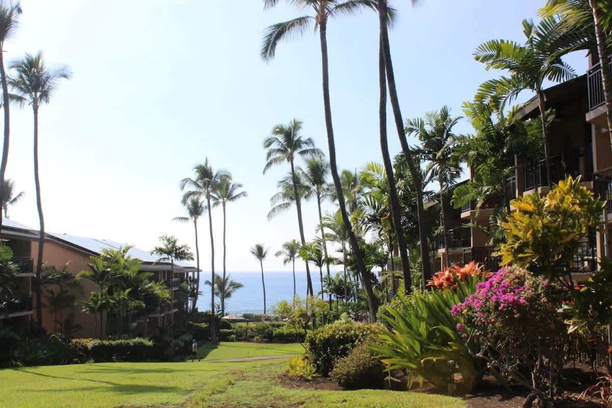 A hotel courtyard with palm trees, a lawn, and a view of the ocean.