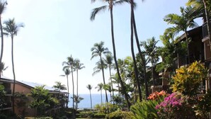 A hotel courtyard with palm trees, a lawn, and a view of the ocean. - Kona Condo- Family Friendly- Fall Sale! (Kailua-Kona)